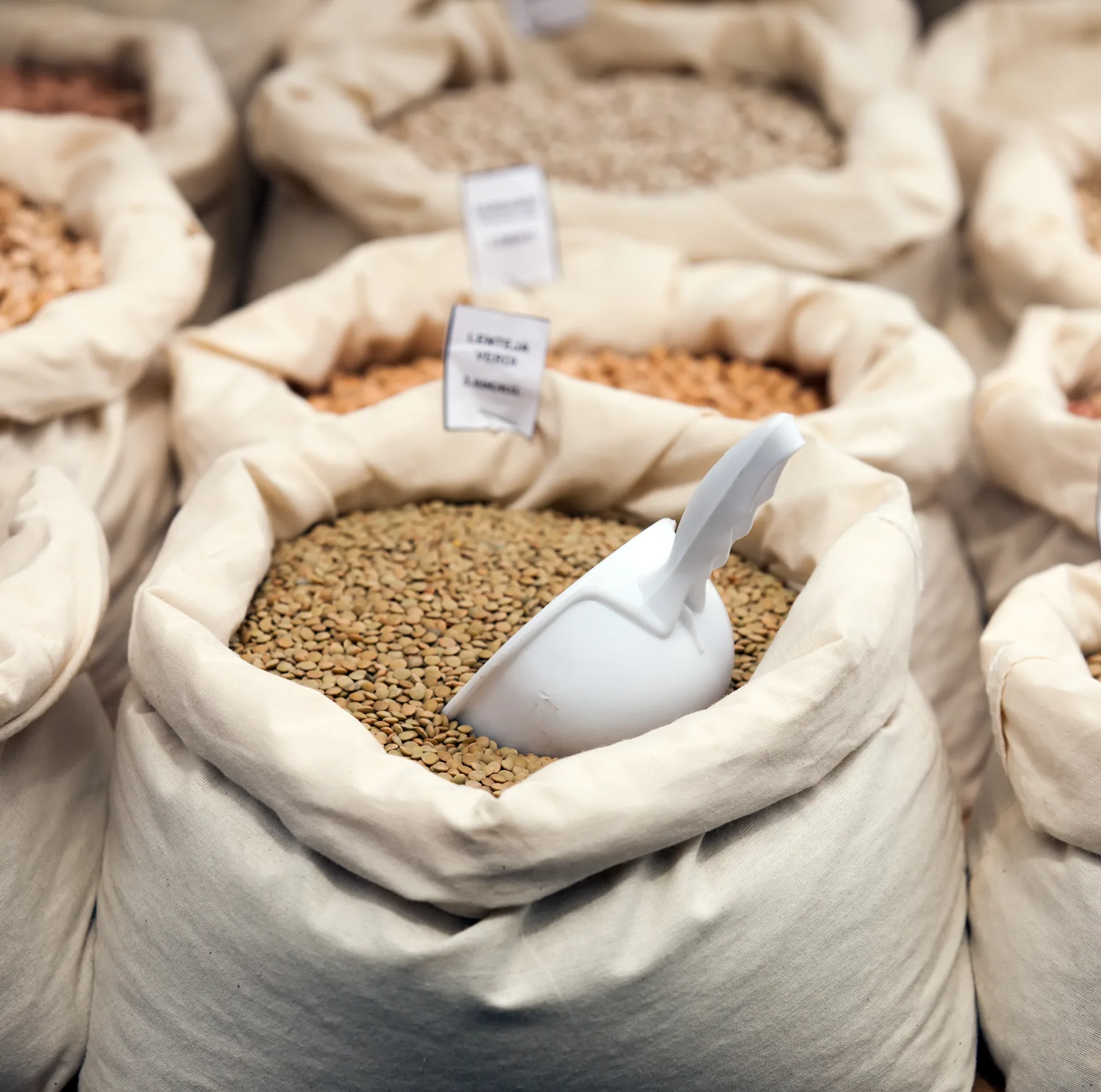 pasze i karma dla zwierząt