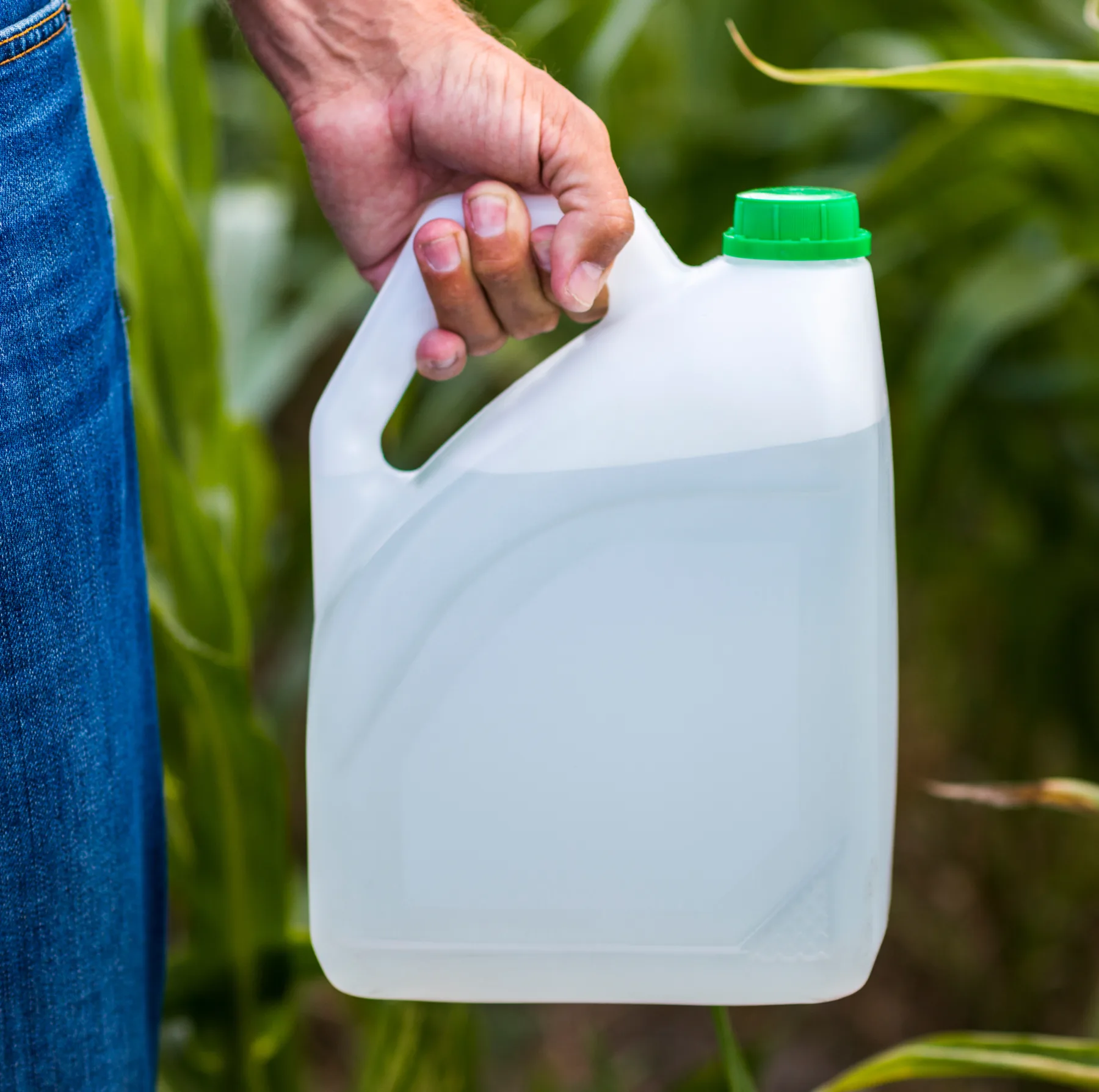 środki ochrony roślin